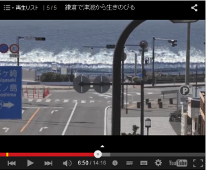 津波非難シミュレーション動画